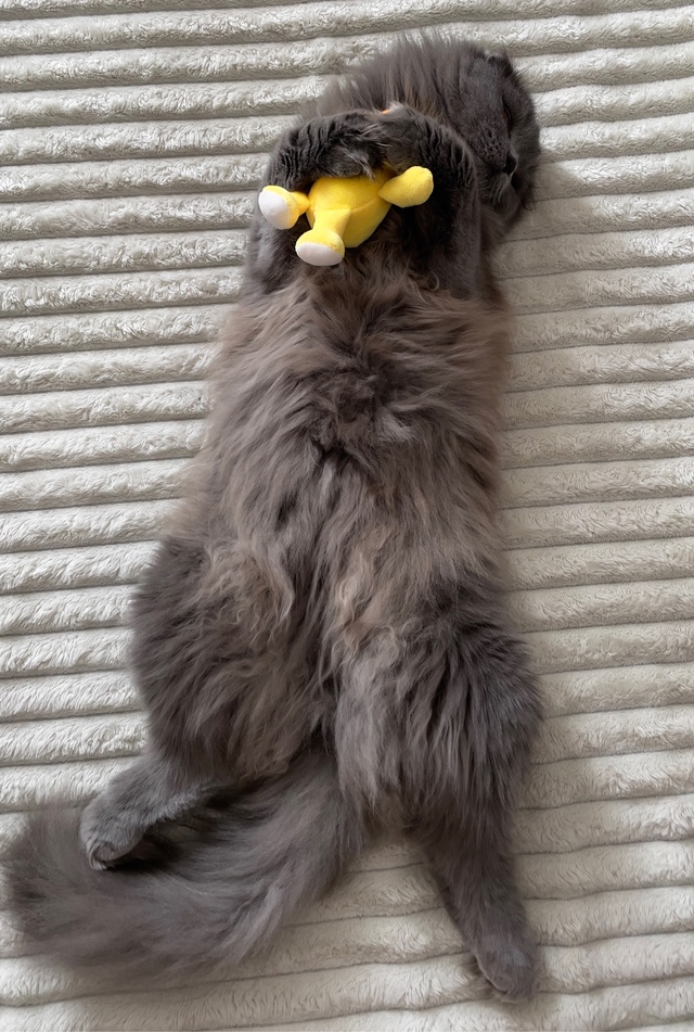 Ну как так можно мило спать?)🥹🥰
Моя Мелкая ❤️
