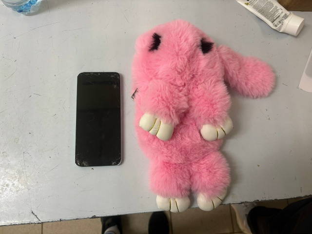 Чья потеряшка ?
Оставили в Пятерочке, улица Вахрушева, ?...