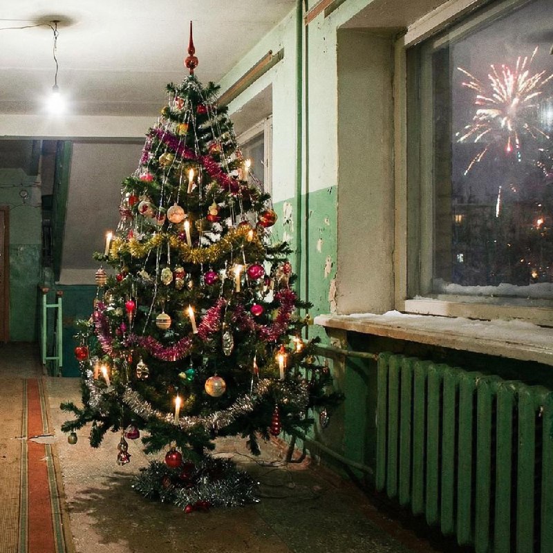 За новогоднюю ёлку в подъезде можно схлопотать штраф до 15 тысяч рублей — предупреждают юристы.
Вс