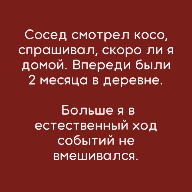 Лучше никуда не вмешиваться😂