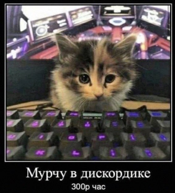 Утренняя подборочка