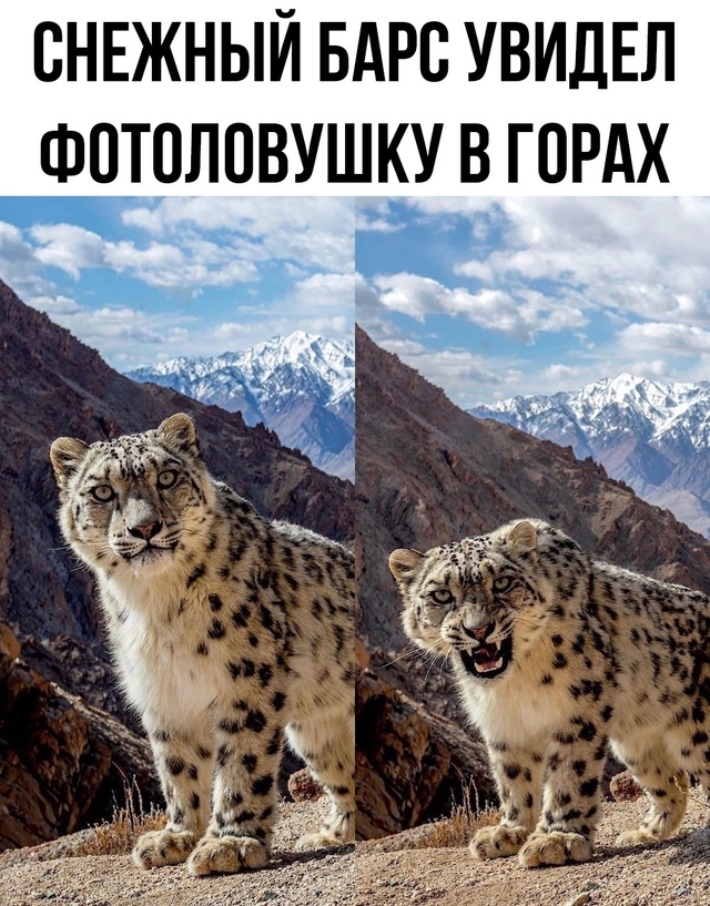 Сначала он был таким милым и пафосным, а потом увидел ф?...
