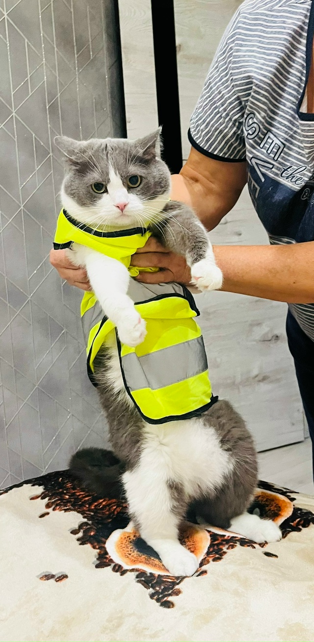 Марсель пожарникович 👨‍🚒