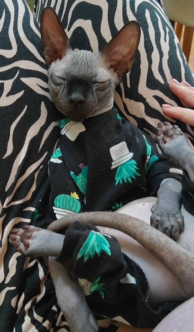 Родители и родительницы столь удивительных созданий. ?...