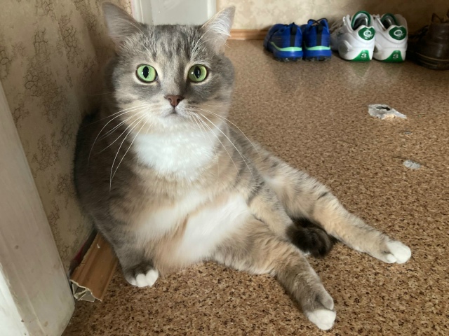 Я голоден только тогда, когда я голоден, а когда я не го?...