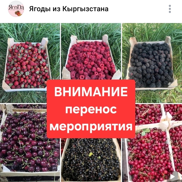 📣 Внимание! Перенос торговли [club215751445|Ягоды из Кыргызс...