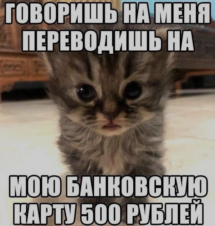 Ночная подборочка
Спать, режим