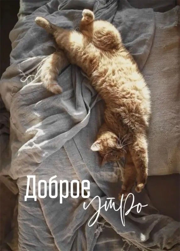 Доброе утро Подслушано!