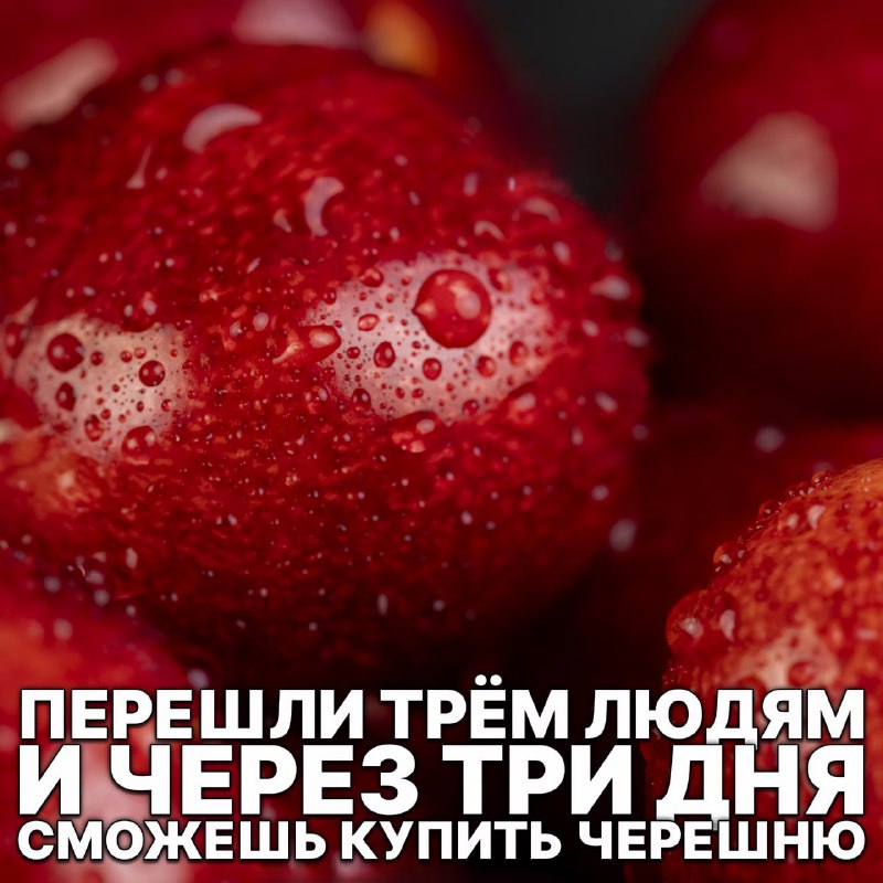 Действуй