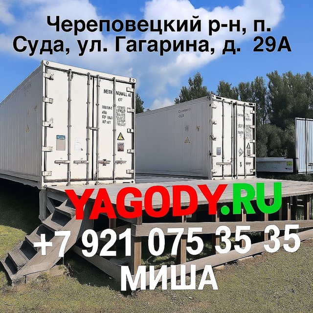 Куплю чернику 265₽/кг, смородину черную 230₽/кг, голубику...