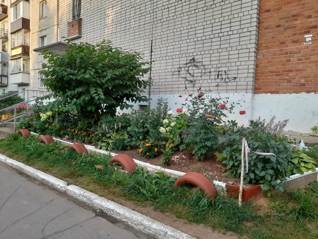 Прекрасный вечерний вид для глаз!!!⚘️🌼🌸🌷