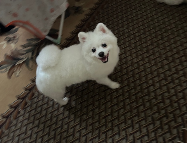 Ищем подругу, комментарии отслеживаю