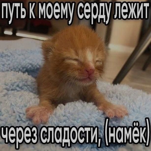 Ночная подборочка
Выходные, не спим