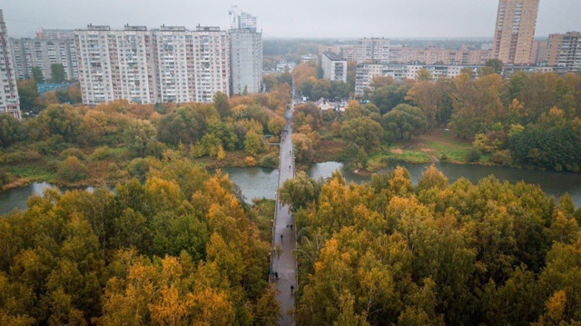 🍁 Золотая осень в Балашихе