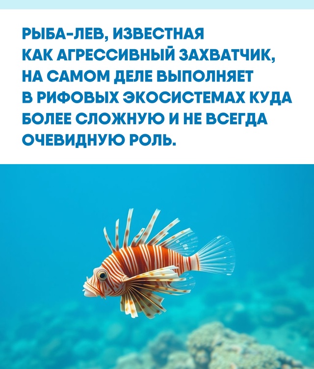 Экзотическая внешность рыбы-льва скрывает сложную эко...