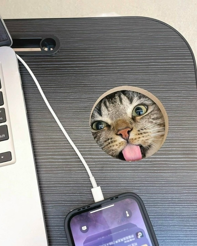 Если вы думали, что это отверстие в столе для проводов, ...