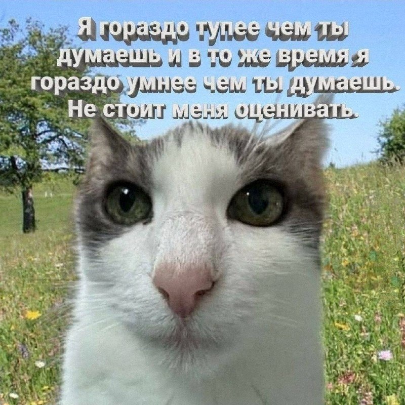 Утренняя подборочка