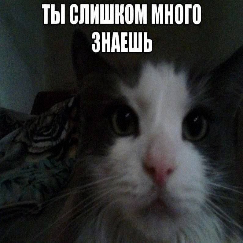 Утренняя подборочка