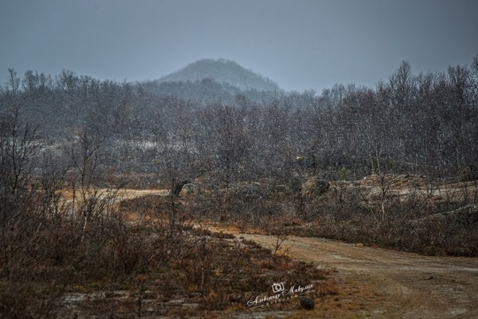 Потрясающая природа нашего края❤‍🔥
Фото: Александ?...