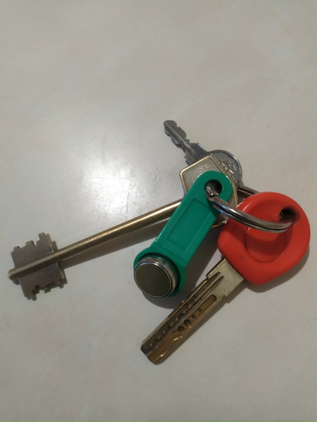 Кто потерял, пишите в комментариях.