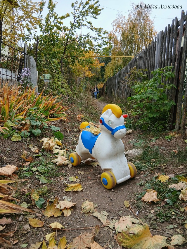 Красота в глазах смотрящего
Портпоселок 🍁🍂
Фотогра...