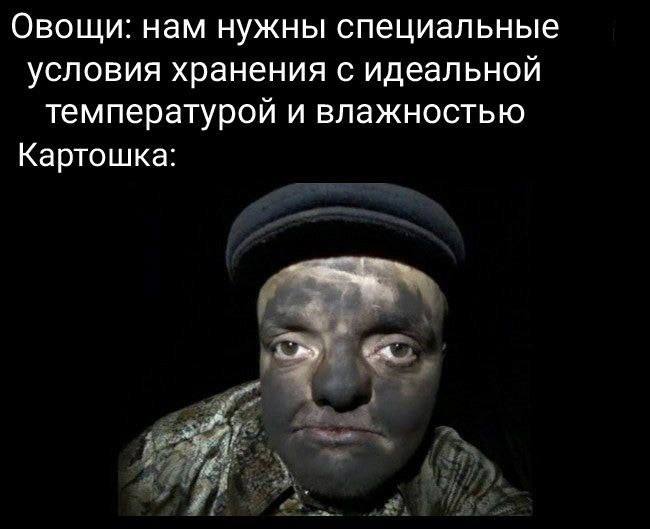 Утренняя подборочка