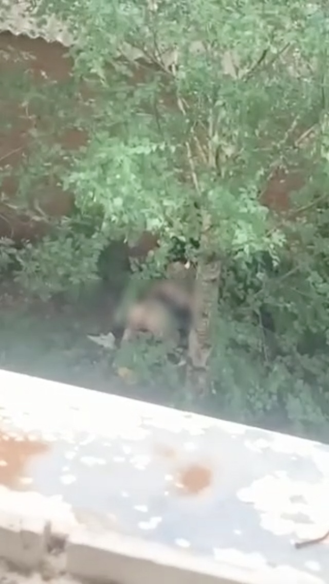 ?В Новочеркасске полуголая 