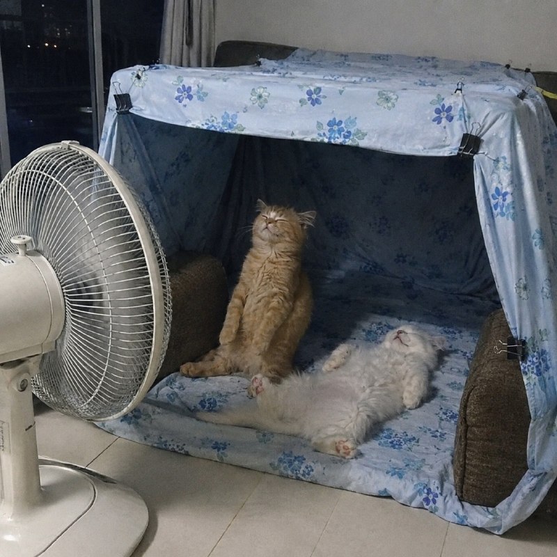 Сейчас бы вот так, а не это все