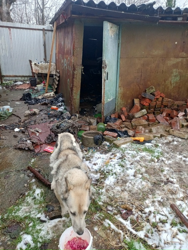 ПОСТ - ШАНС! ‼️‼️‼️
Родники! Ивановская область!
Вол...