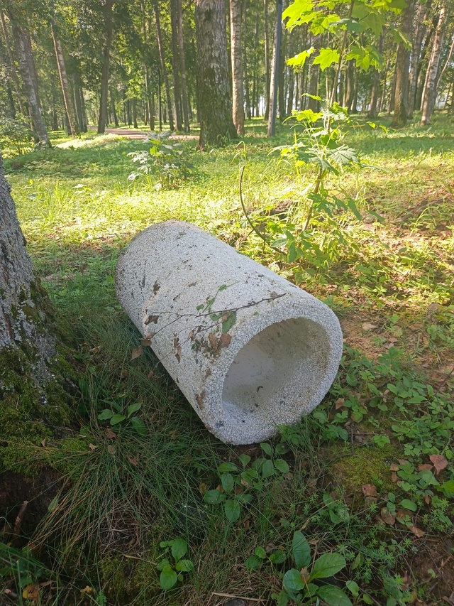 Варвары продолжают уничтожать парк п. Южного. После ра?...