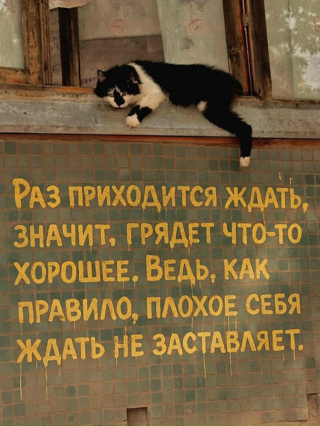 Пересылайте посты близким, ставьте реакции - это лучша?...