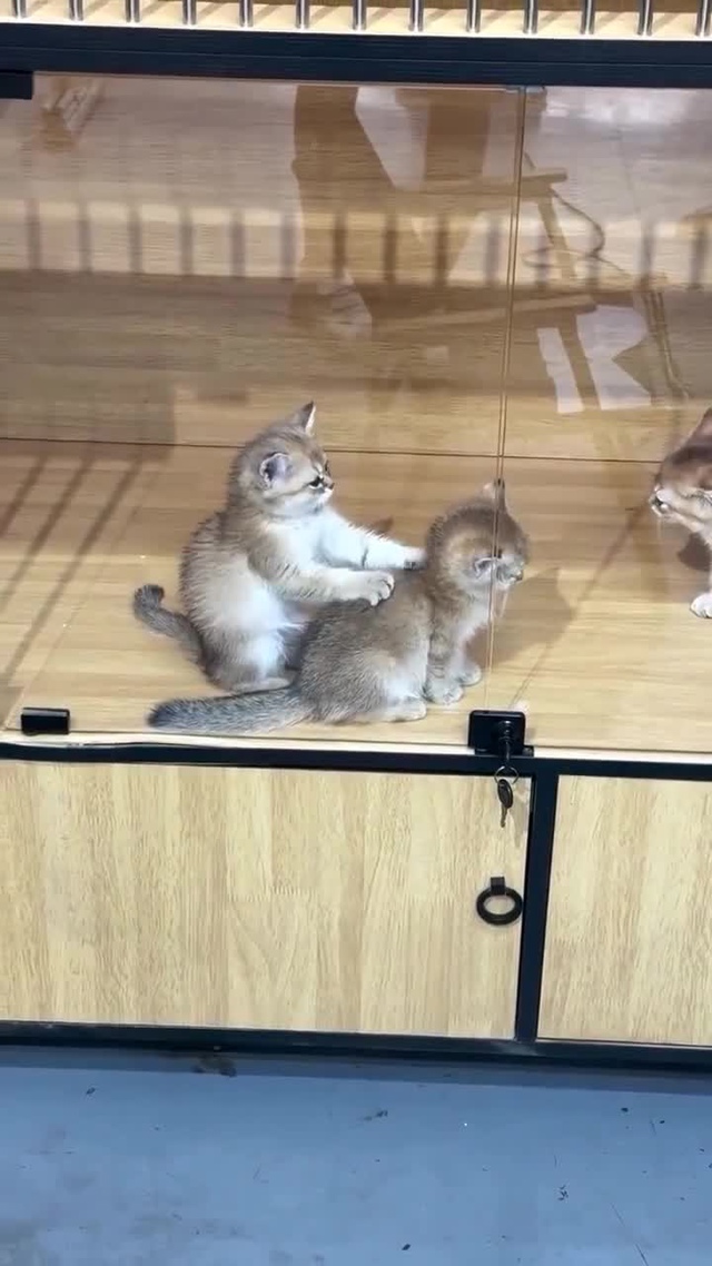 Они так сильно любят друг друга.