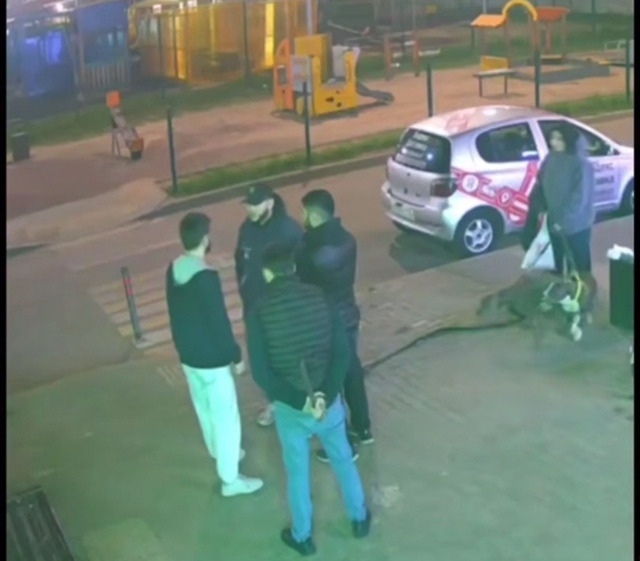 ❗️В Балашихе трое армян с мачете до полусмерти забили...