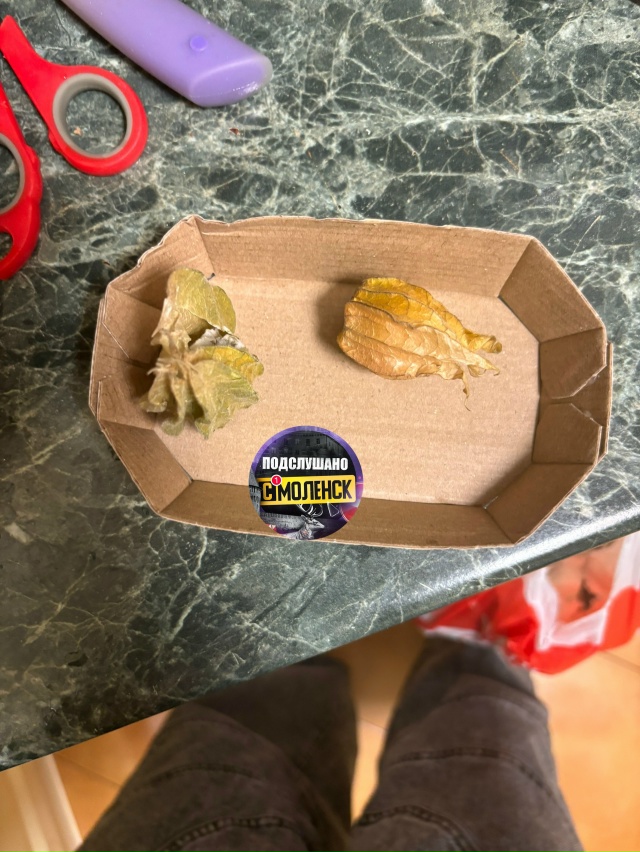 Заказал доставку из Пятерочки. Заказ пришел вовремя, н?...