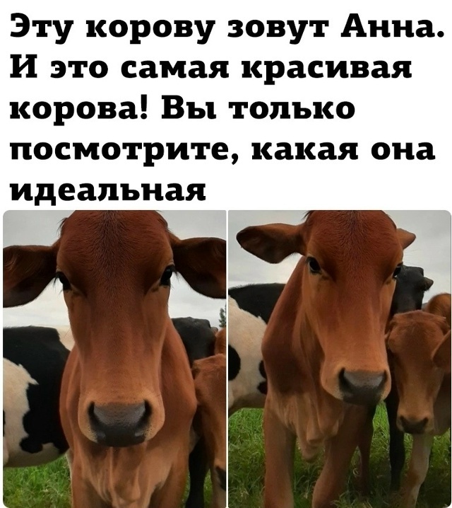 Сразу видно, что о ней заботятся 🧡
