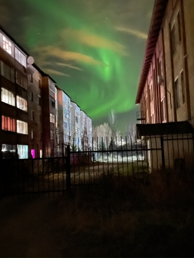 красота