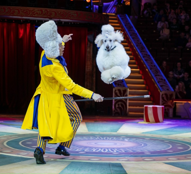 28 МАРТА🪻ЦИРК Юрия Никулина 🎪 «ВЕСЬ ЭТОТ ЦИРКЪ» на ве?...