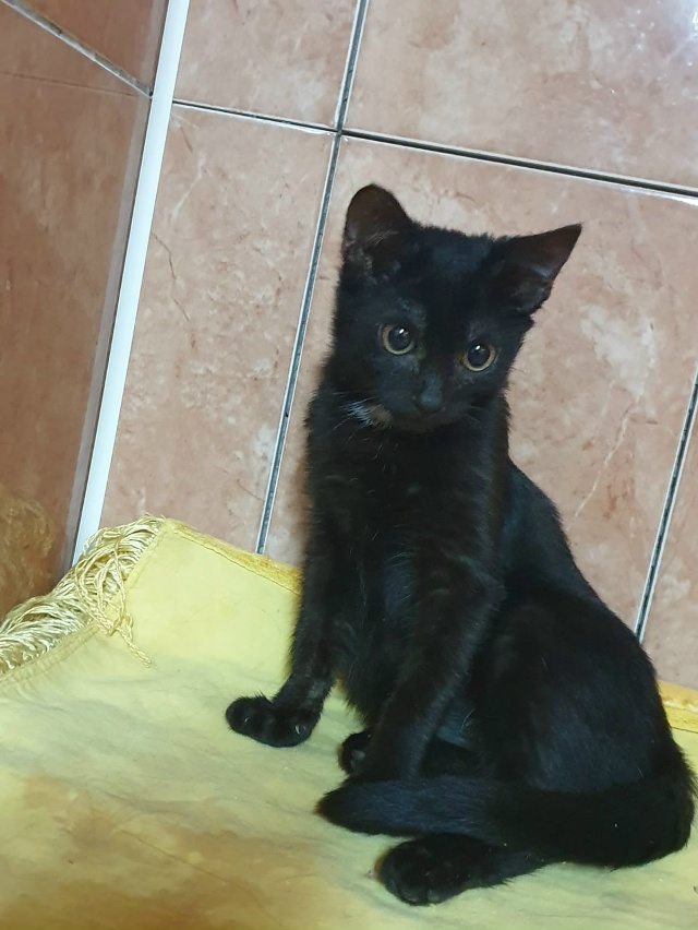 Маленькая Принцесса ? ищет семью для совместного сча?...