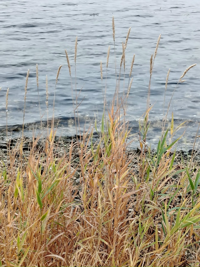 Пусть положительные эмоции наполняют вас, осенние кра?...