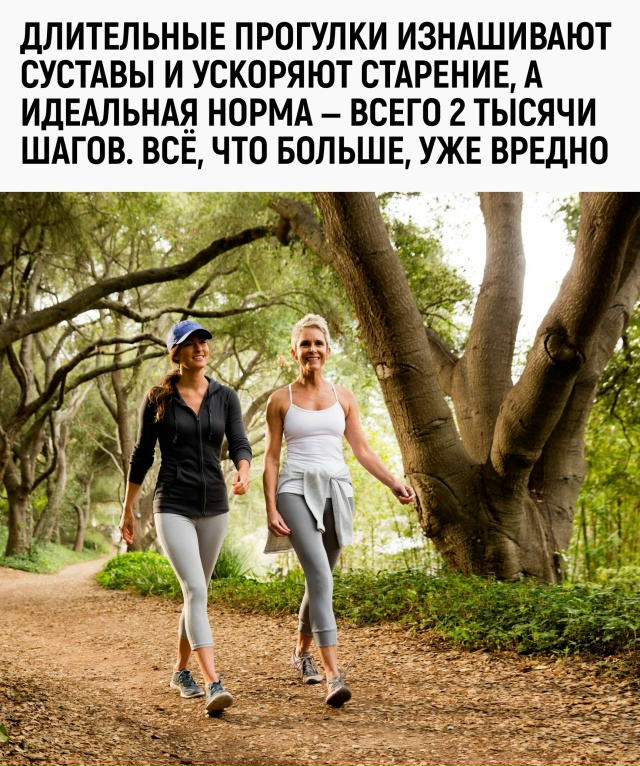 Наконец-то нашлась наука, которая оправдывает мою лень...