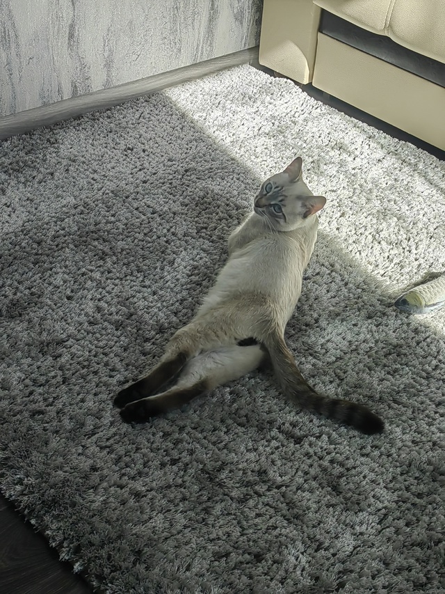 Наш ребёночек😻😻😻