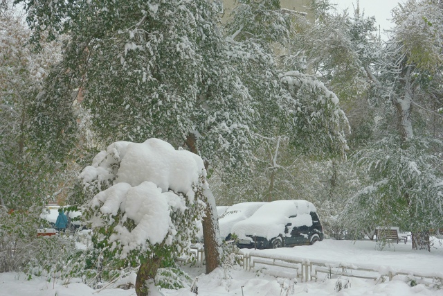 Бeлocнeжнaя oceнь в Ηoвocибиpcкe ❄🍂
Φoтo: Лeнa Γaлкинa