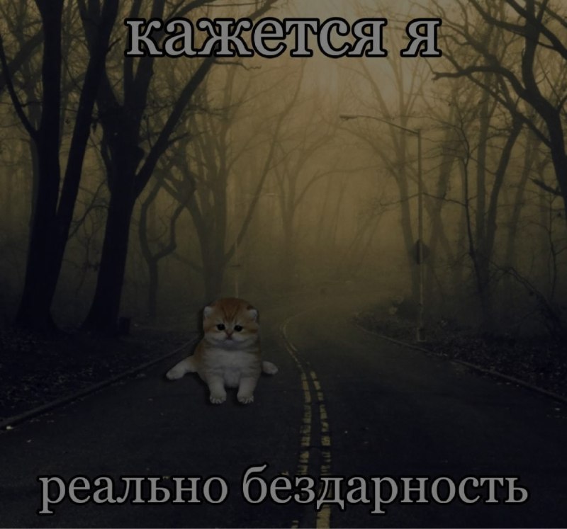 Ночная подборочка
Спать, режим