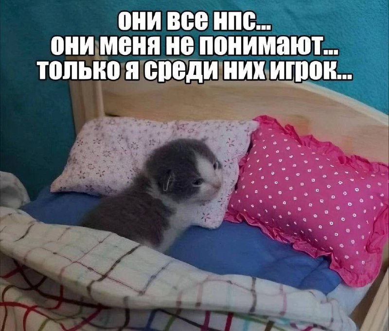 Утренняя подборочка