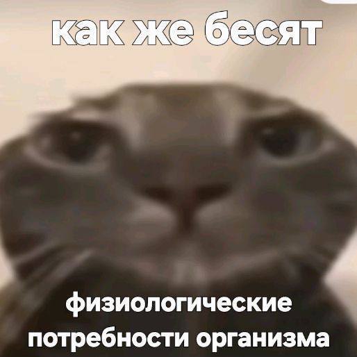 Утренняя подборочка