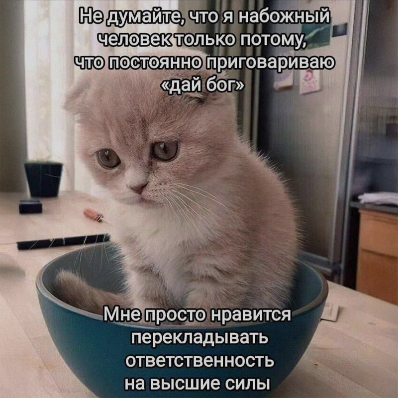 Ночная подборочка
Спать, режим