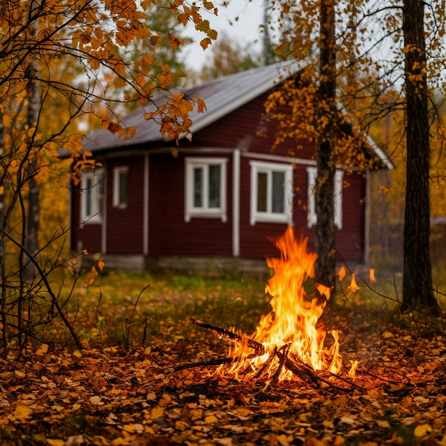 ‼ Штраф до 15 тысяч за сжигание листьев и веток на даче
...