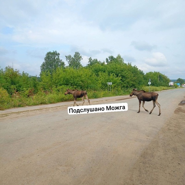 Вот они, красавчики 👍
Работники моста у 