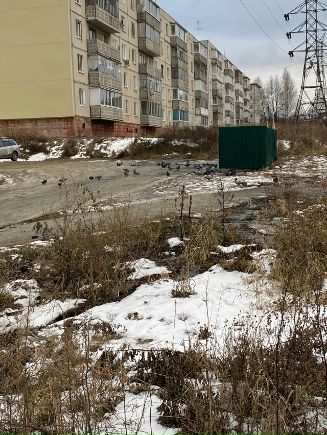 Опять все течёт
Что ждём?