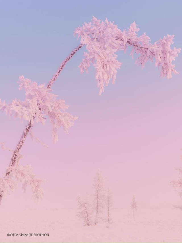 Какие краски❤
Фото: Арктика ВКонтакте